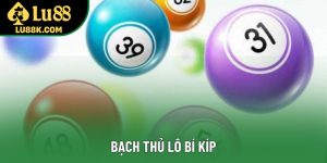 Bạch Thủ Lô Bí Kíp - Hành Trình Tìm Con Số May Mắn