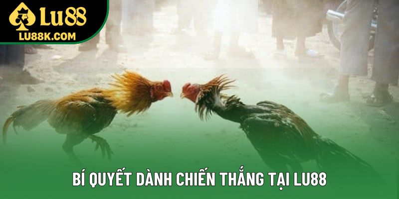 Bí quyết dành chiến thắng tại Lu88 