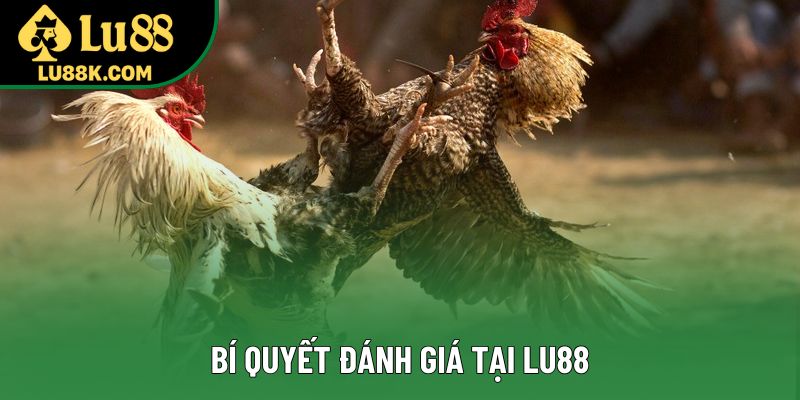Bí quyết đánh giá tại Lu88