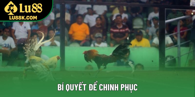 Bí quyết để chinh phục