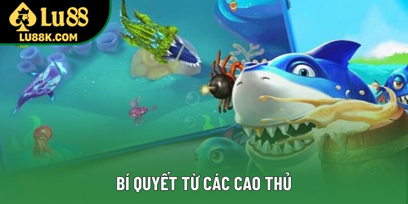 Bí quyết từ các cao thủ Bí quyết từ các cao thủ