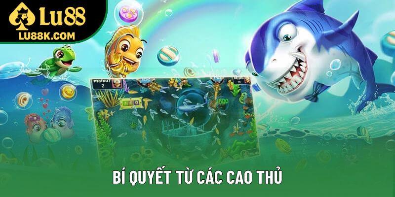 Bí quyết từ các cao thủ Bí quyết từ các cao thủ