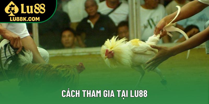 Cách tham gia tại Lu88