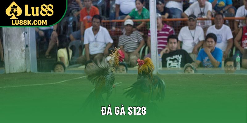 Đá Gà S128 - Bí Quyết Tham Gia Và Trải Nghiệm Hấp Dẫn