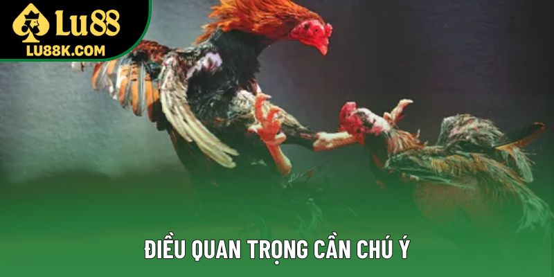 Điều quan trọng cần chú ý